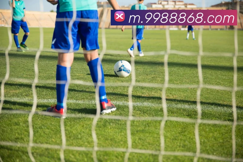 8868体育平台生态图